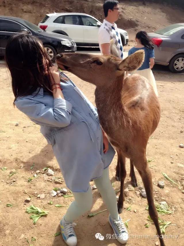 妈妈顺产的日记,孕妈必备超快顺产的超全攻略