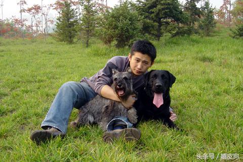 大狗黑色黄色,大狗黑灰色