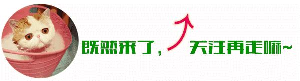 影响胎儿智力的因素,胎儿身高和智力是哪个阶段决定的