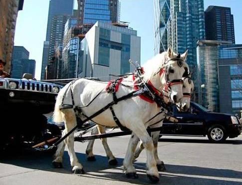 为了省油，车主把100万豪车开出了马车的感觉