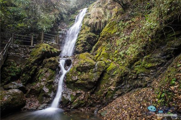 戏猴、爬山、观瀑布，那就跟我去卧龙谷！
