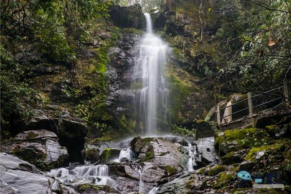 戏猴、爬山、观瀑布，那就跟我去卧龙谷！