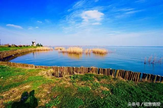 华为研发基地落户上海市青浦哪里,华为在上海青浦建研发基地