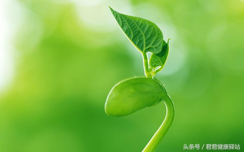 甲状腺结节怎么区分甲亢和甲减,甲亢转为甲减严重吗