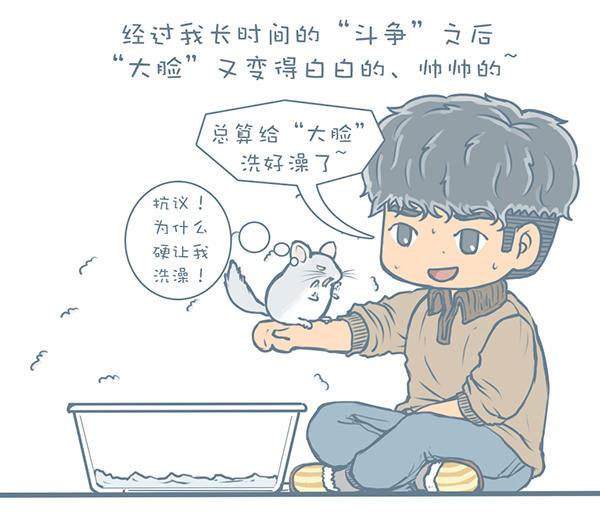 龙猫不洗澡光泡沙子,龙猫不滚沙怎么办