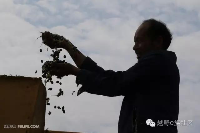 开着房车旅行说走就走,说走就走出去玩视频