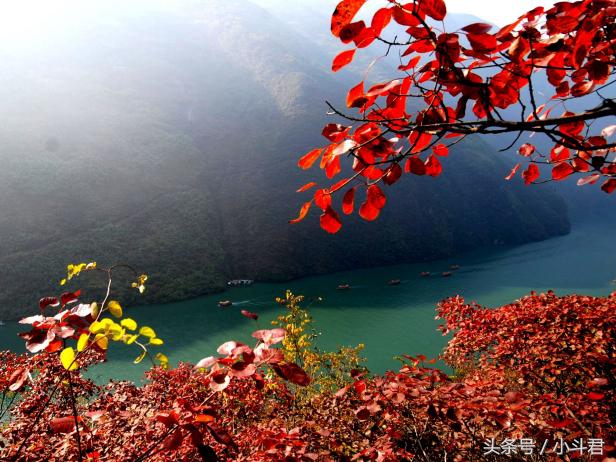 十大超级豪华邮轮,最刺激的游轮之旅