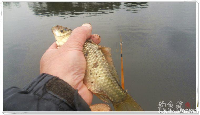 两钓一闲水凑成一个发