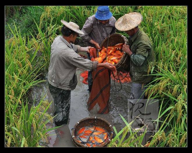 中国最美摩旅路线,国庆7天摩旅最美路线