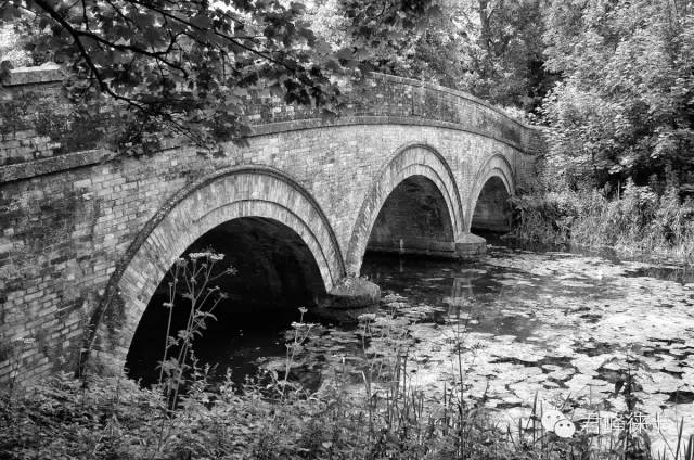 摆脱新手摄影第一道门槛,徕卡相机怎么选择