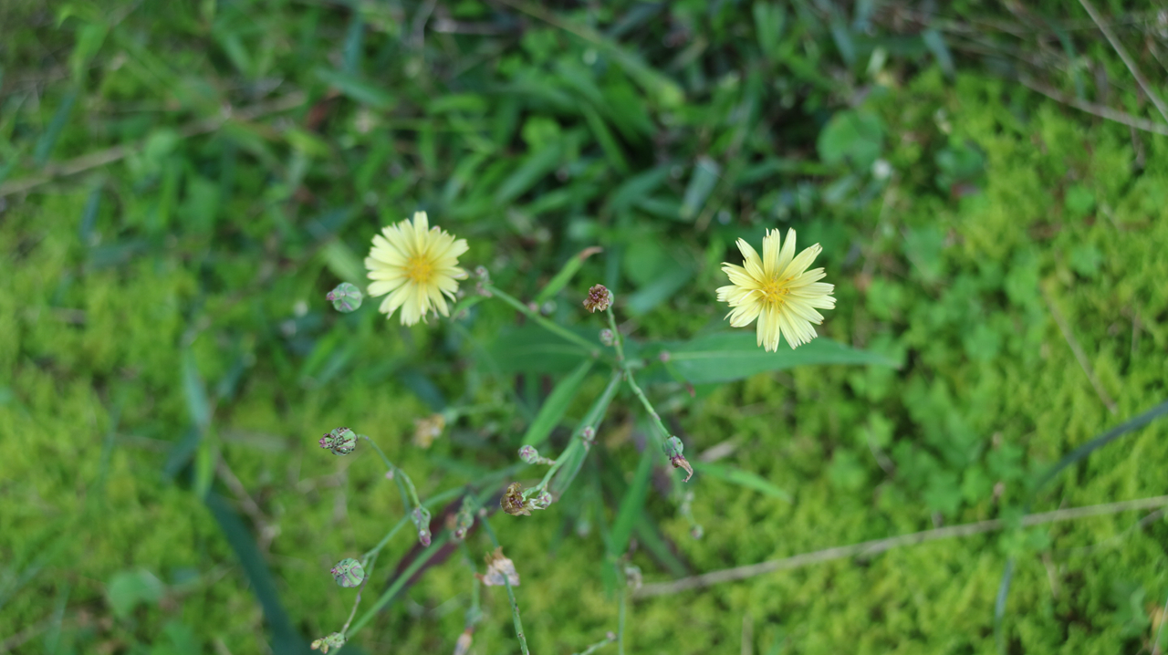 佳能微单相机推荐eosm3,eosm3