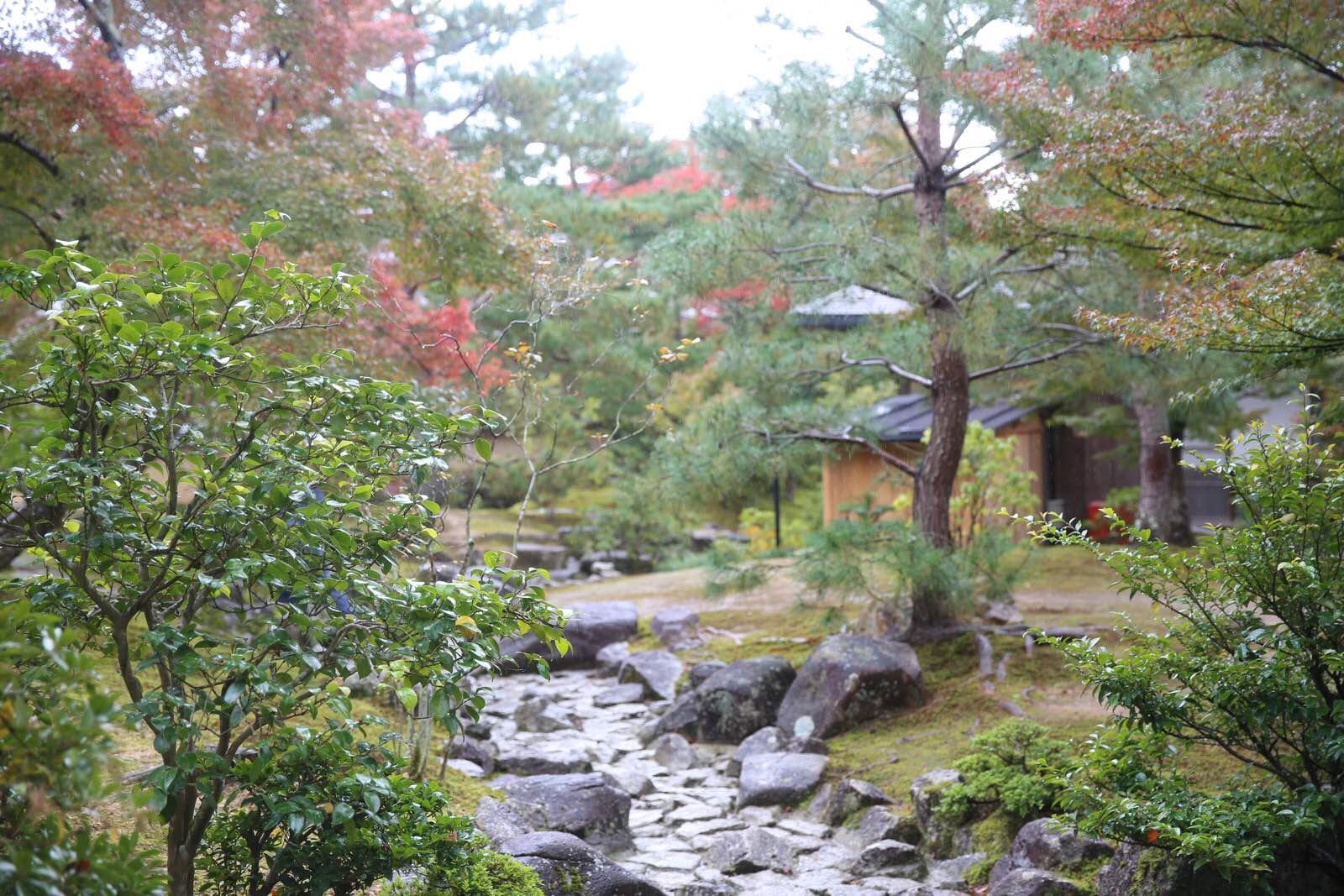 关西温泉六日游,大阪关西机场温泉