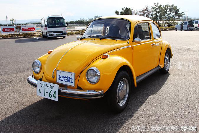 山阴山阳地区五县旅行线路指南