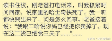 哈士奇长的可爱,你家哈士奇真的不会自卑吗