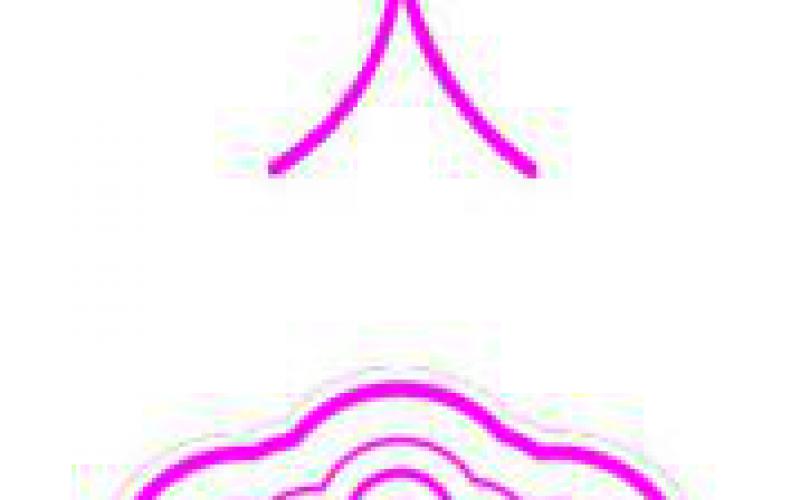 潮州节,国际潮州节非遗展演活动