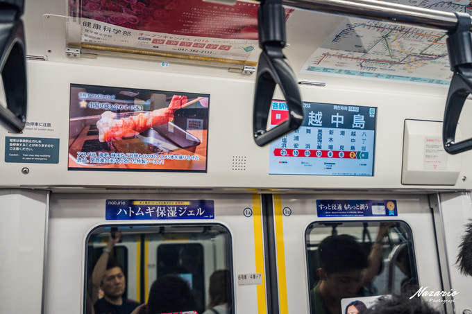 粉红猪小妹与小猪佩奇,粉红猪小妹的快乐生活