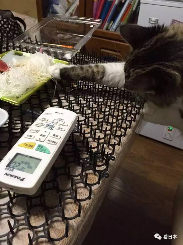 日本人发明的捕鼠神器,日本人发明装置