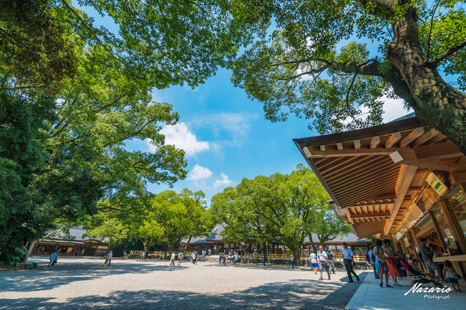 粉红猪小妹与小猪佩奇,粉红猪小妹的快乐生活