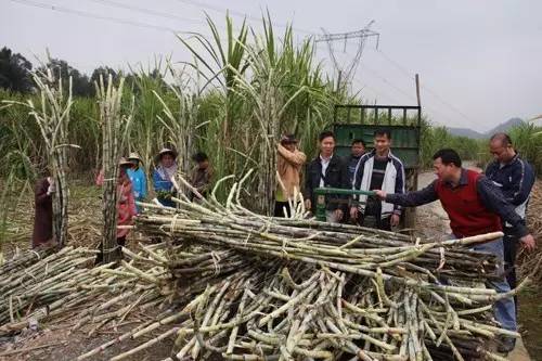 赣州美食不打烊,赣州美食推荐过年不打烊
