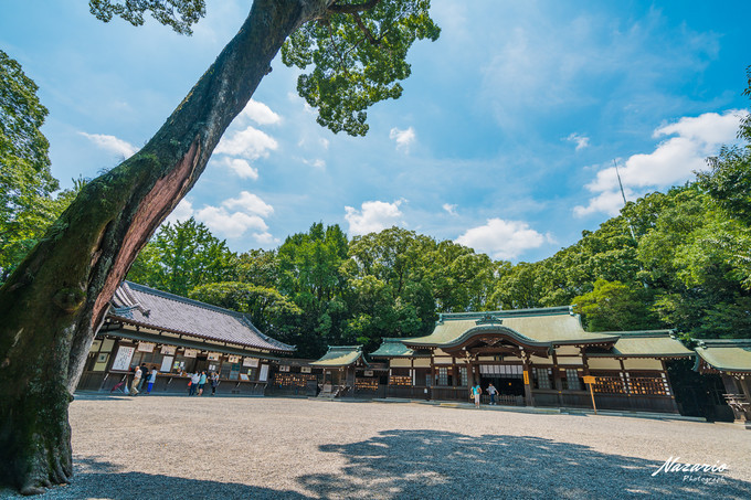 粉红猪小妹与小猪佩奇,粉红猪小妹的快乐生活