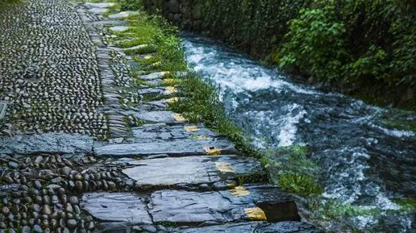 荐读丨微写微拍带上一本书去心灵徒步