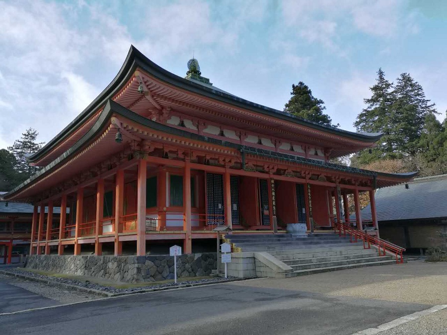 阿含桐山杯视频,阿含桐杯决赛视频完整版