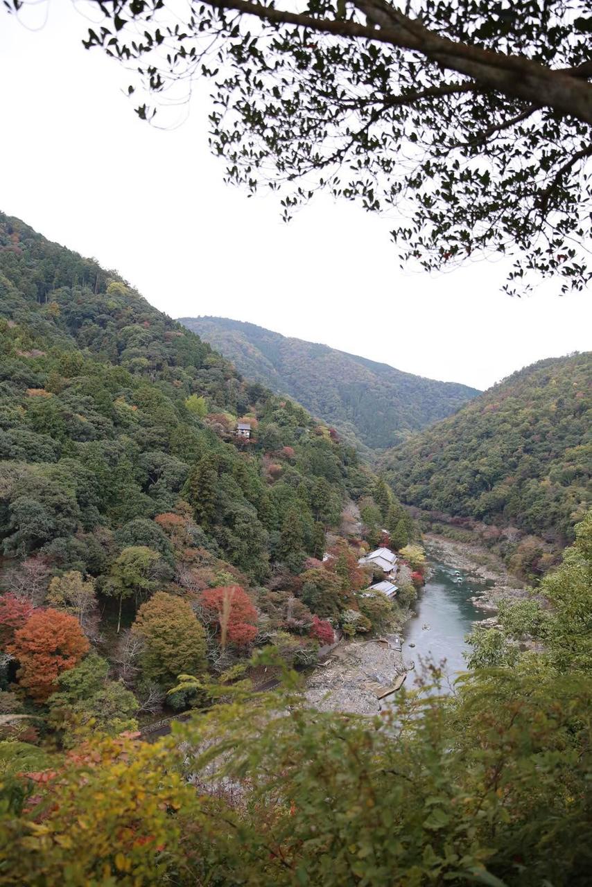 关西温泉六日游,大阪关西机场温泉