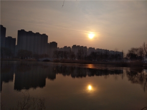 z11minis鎵嬫満,灏忔棗鑸皕11minis