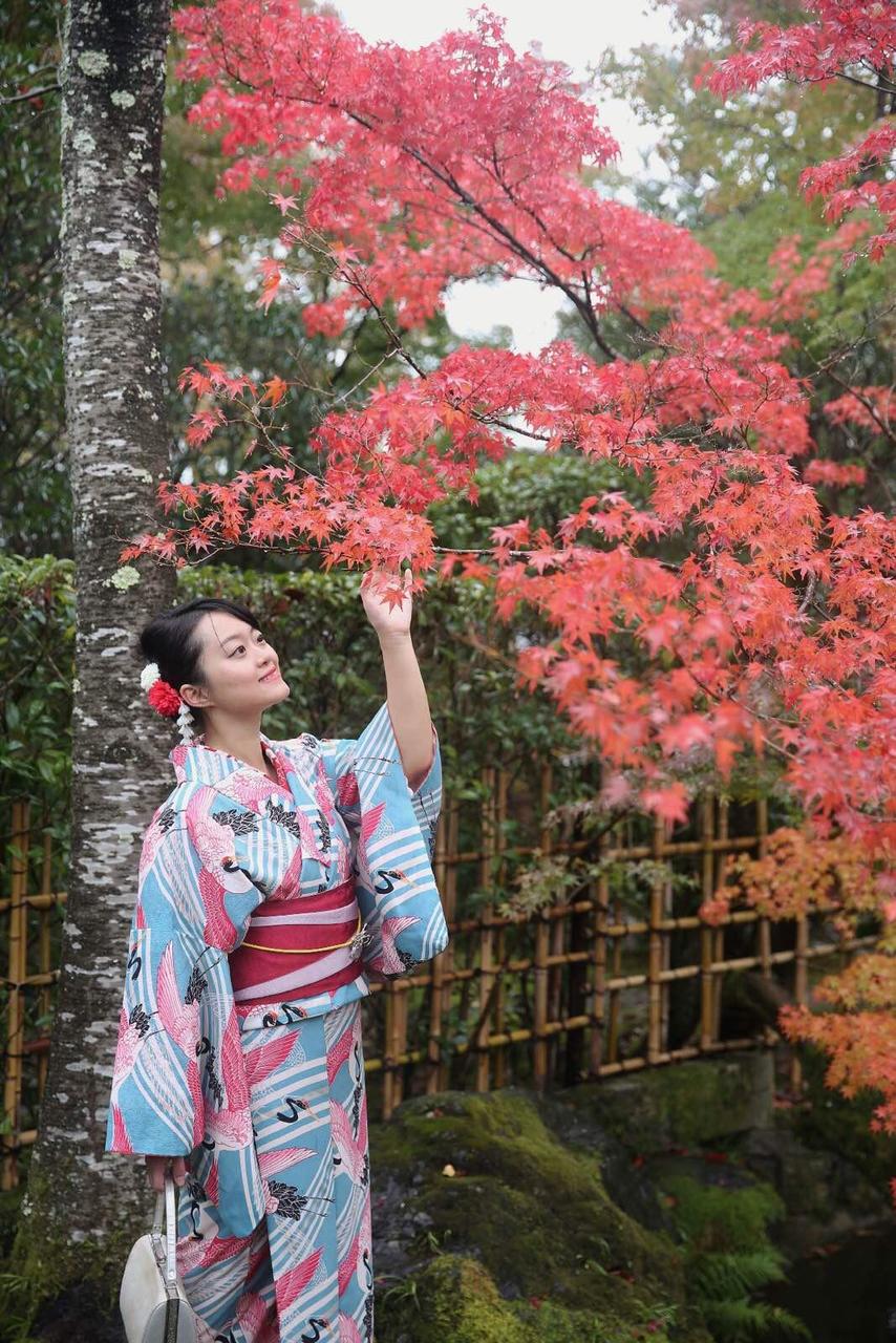 日本关西温泉圣地,日本关西房间内温泉