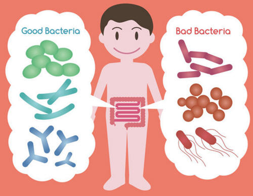 吃益生菌之前你要知道的三件事,吃益生菌要怎么吃才算是正确的呢