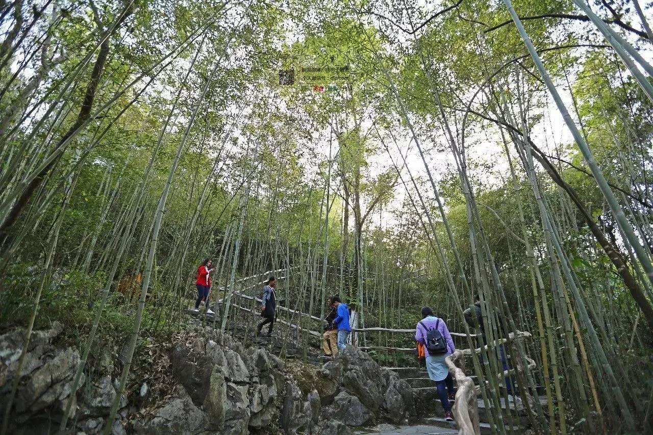 去连州有什么好玩的,清远连州旅游详细攻略