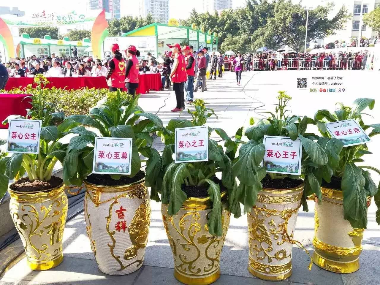 去清远连州怎样最方便,广东连州攻略