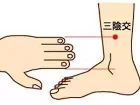 养肾健康第一重要,养肾三大秘法