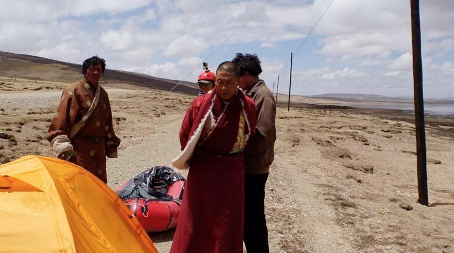 狼真的来了图片,狼真的来了吗全集