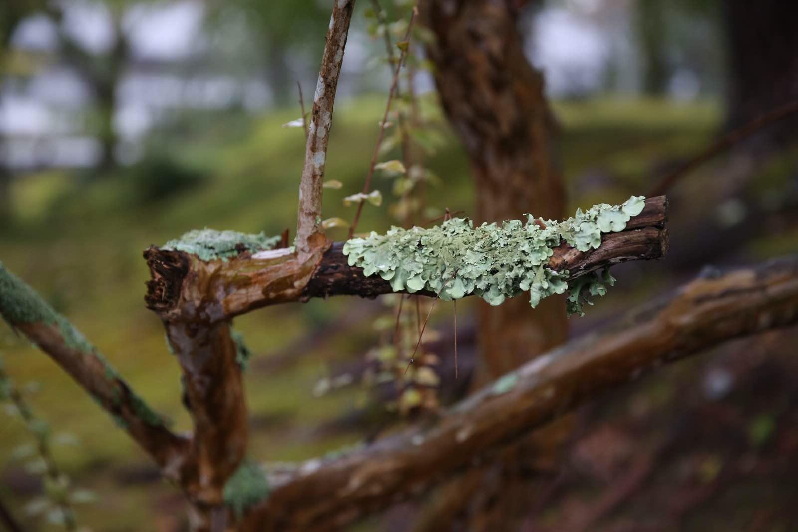 关西温泉六日游,大阪关西机场温泉