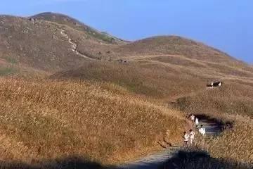 香港经典38条登山路线,香港徒步太平山顶路线