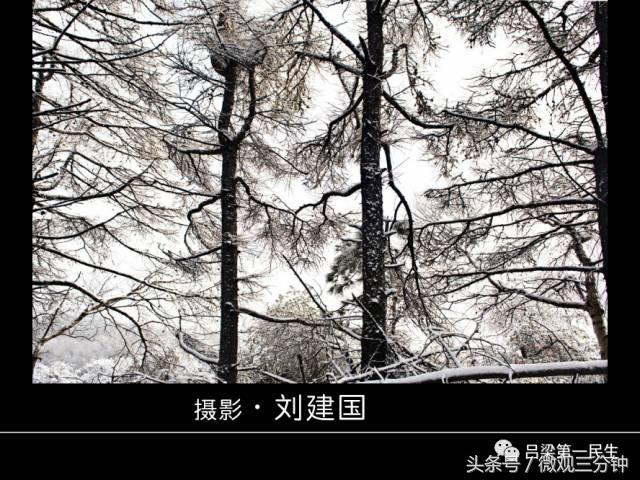 岚县野鸡山位于哪里,山西吕梁山雪景图片