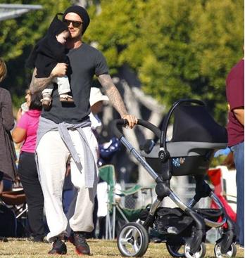 购车秘籍视频,购车攻略卖多少份