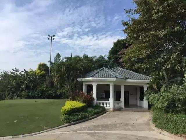 世界冠军专程助阵,为参赛球队提供总决赛球场最全攻略