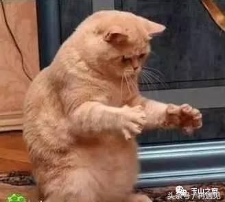 在玉山生活好吗,在玉山生活怎么样