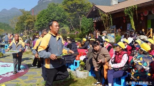 连州菜心拍卖最高价,至尊连州菜心什么价