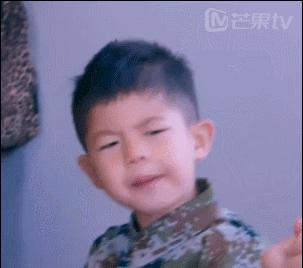 葛优出国都坐火车吗,葛优坐飞机去欧洲