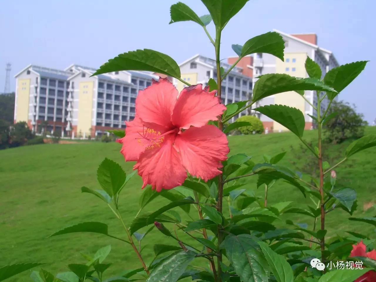 新旧老照片对比人物,新旧照片对比视频