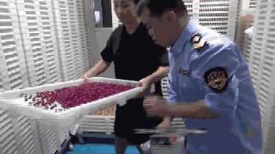 紧急减肥药,紧急瘦身药