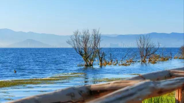 杭州工资水平一览表,杭州工资收入水平报告