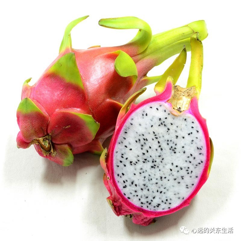 外国人在中国买买买些什么