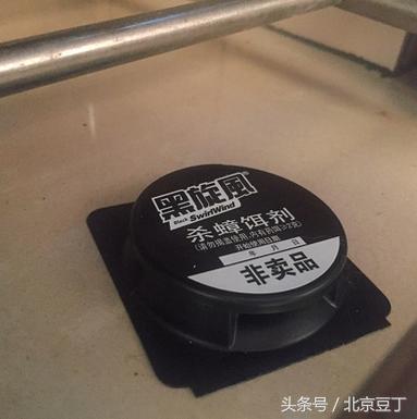 厨房卫生间用什么能消灭蟑螂,厨房间用什么方法消灭蟑螂最有效