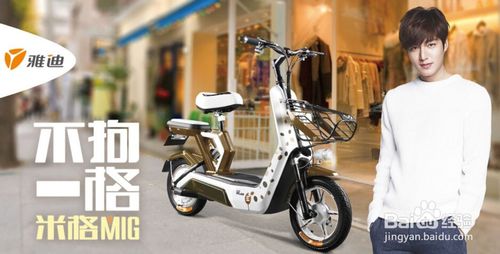 电动车十大品牌哪个动力最好,什么牌子电动车快又稳