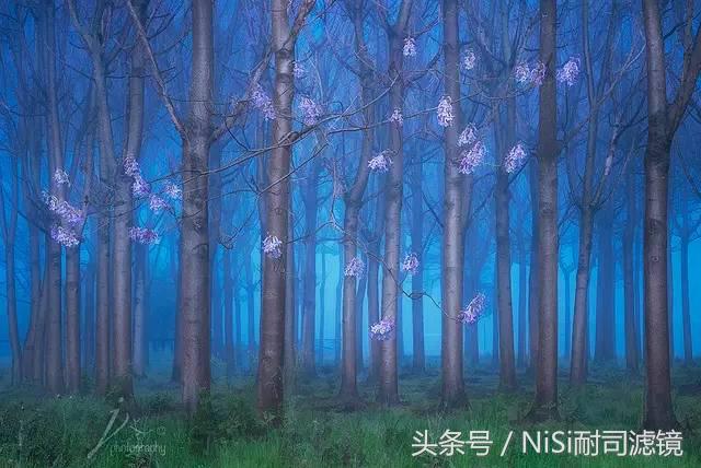 笔记｜JingshuZhu和你分享她眼中不一样的海