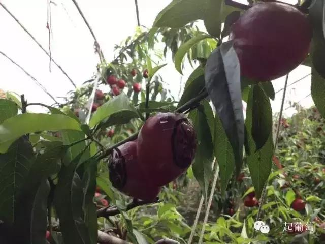 当扶贫遇上互联网,当统战工作遇上互联网